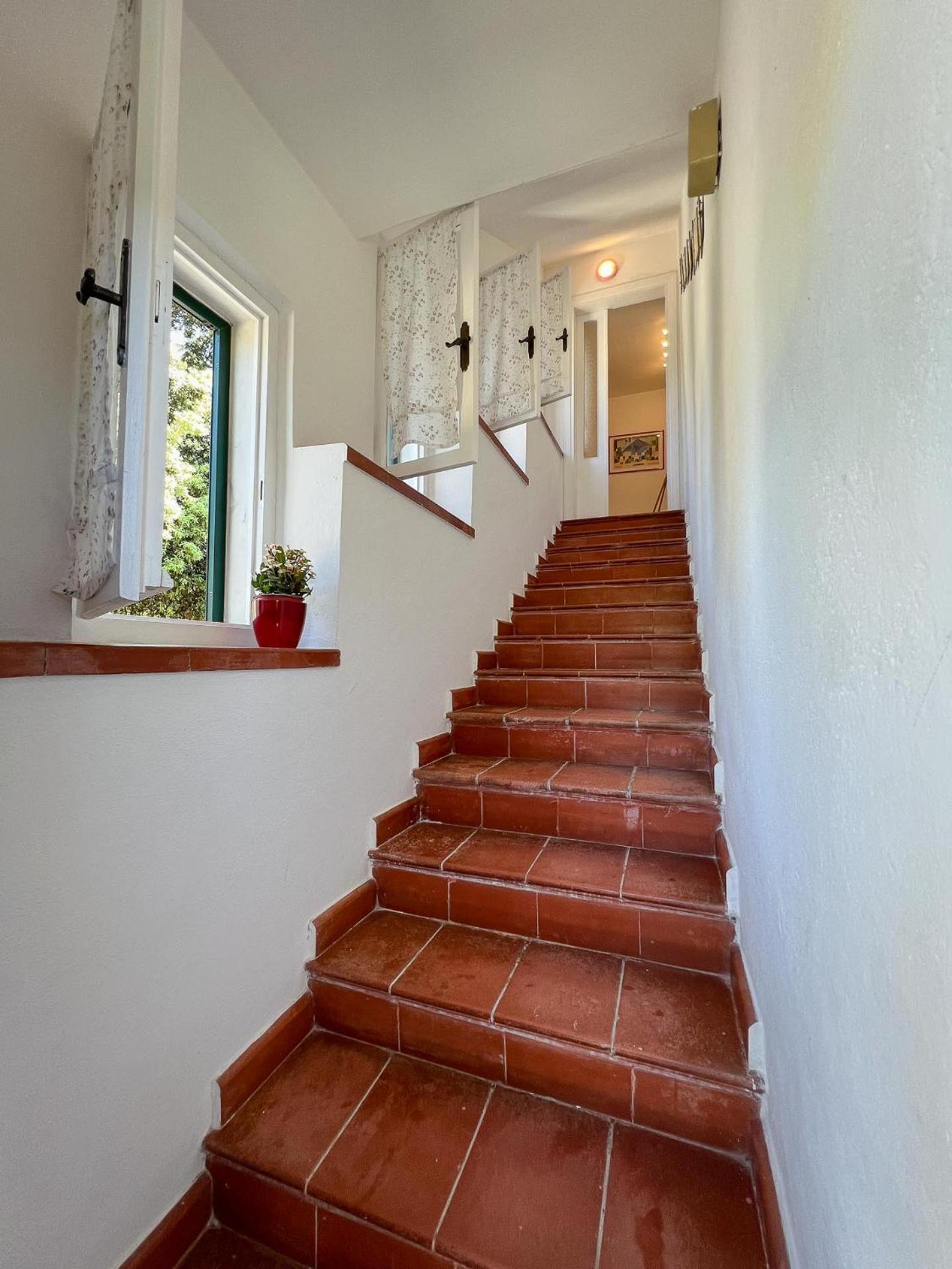 Azienda Agricola Sapereta Porto Azzurro Exteriér fotografie