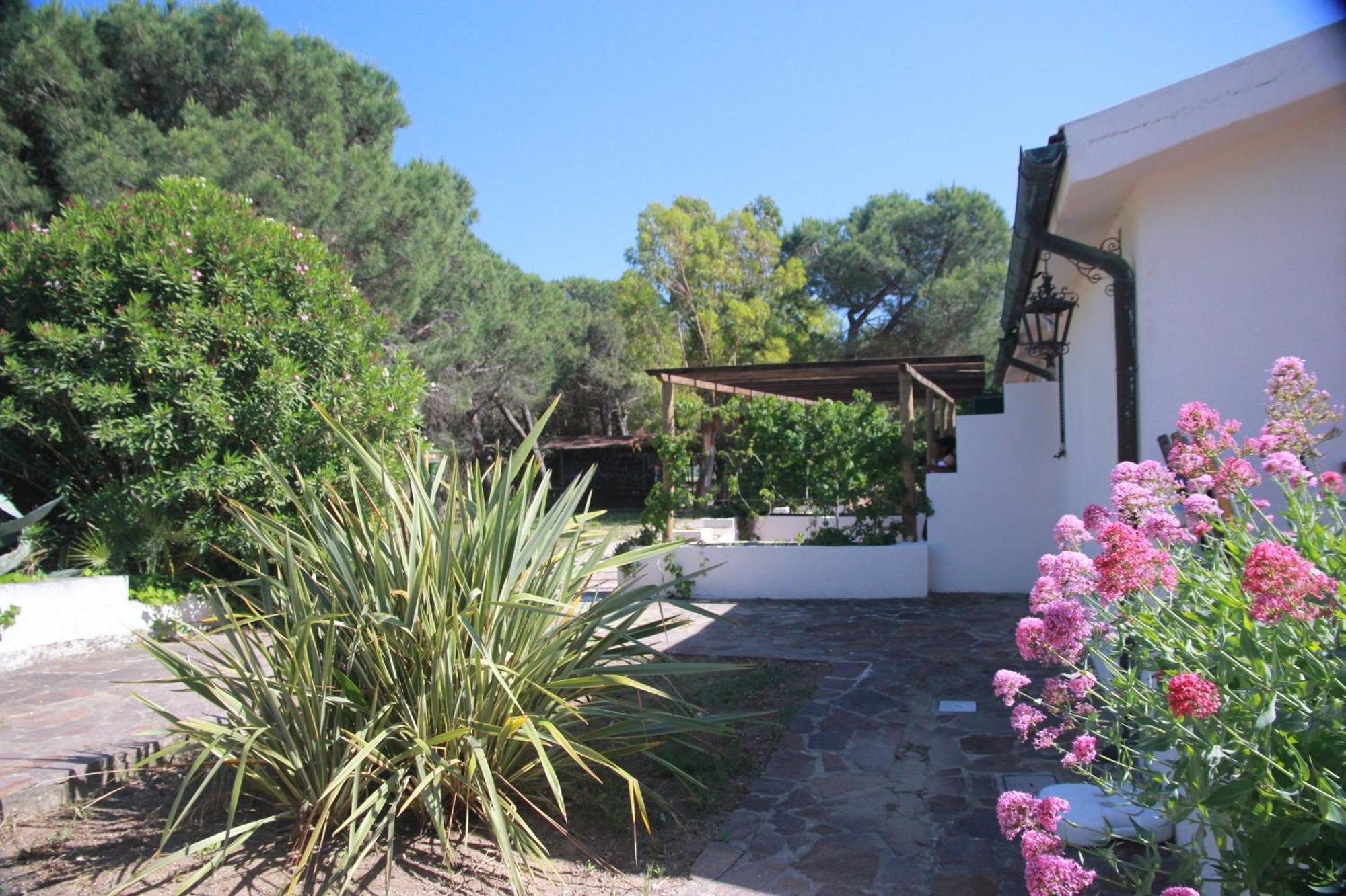 Azienda Agricola Sapereta Porto Azzurro Exteriér fotografie